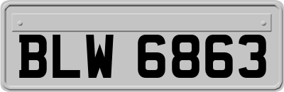 BLW6863