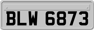 BLW6873