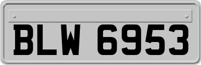 BLW6953