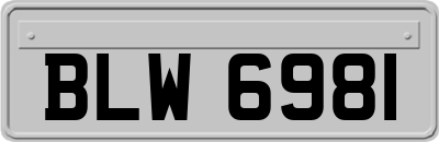 BLW6981
