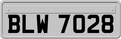 BLW7028