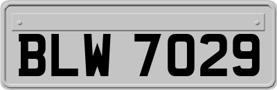 BLW7029
