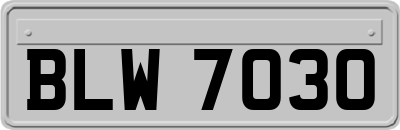 BLW7030