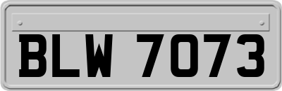 BLW7073