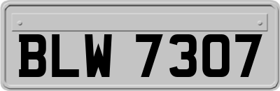 BLW7307