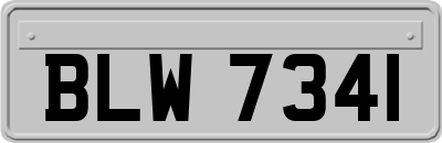BLW7341