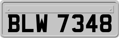 BLW7348