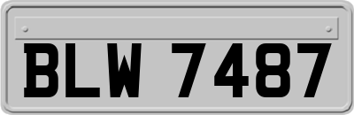 BLW7487