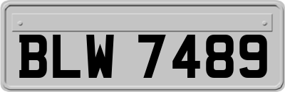 BLW7489