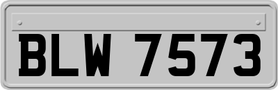 BLW7573