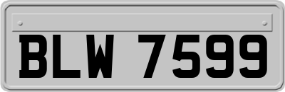 BLW7599