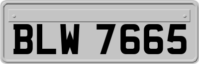 BLW7665