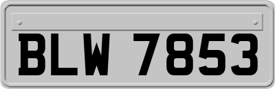 BLW7853