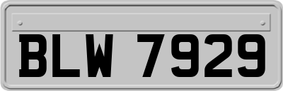 BLW7929