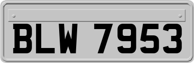 BLW7953