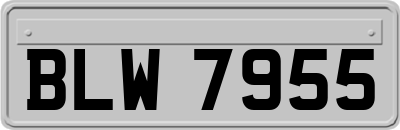 BLW7955