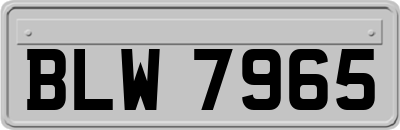 BLW7965