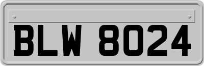 BLW8024