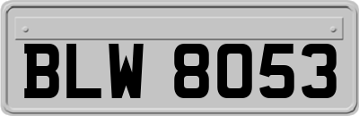 BLW8053