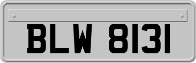 BLW8131