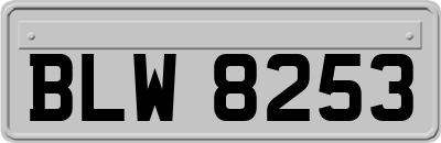 BLW8253