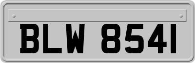 BLW8541