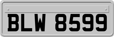 BLW8599