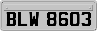 BLW8603