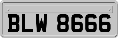 BLW8666