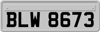 BLW8673