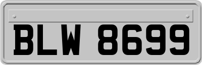 BLW8699