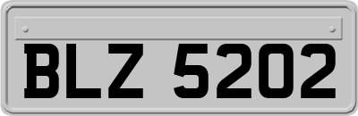BLZ5202