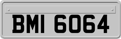 BMI6064