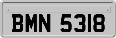 BMN5318