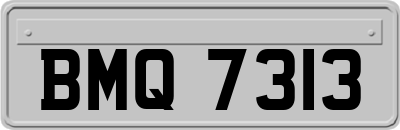 BMQ7313