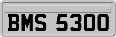 BMS5300