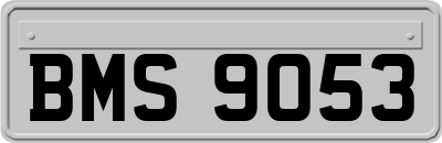 BMS9053