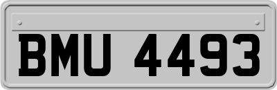 BMU4493