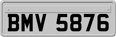BMV5876