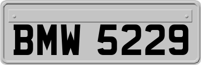 BMW5229