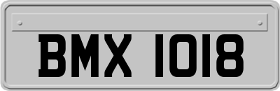 BMX1018