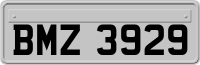 BMZ3929