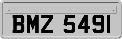BMZ5491