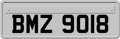 BMZ9018
