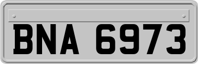 BNA6973