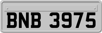 BNB3975