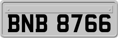 BNB8766
