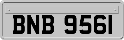 BNB9561