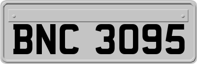 BNC3095