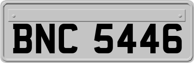 BNC5446